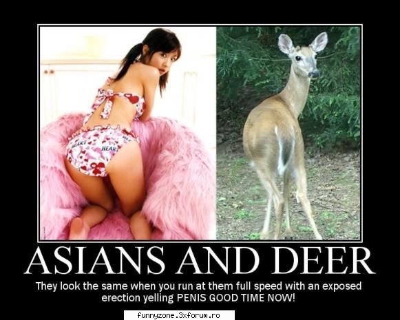asians and deer