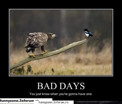 bad days