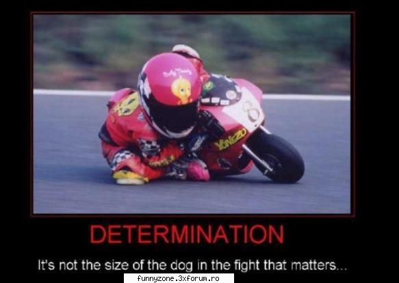 Determination