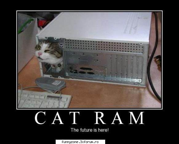 cat ram