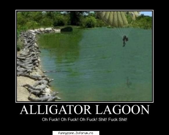 Alligator - mike - Funny Animal Pictures