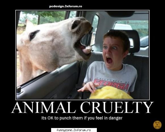 Animal cruelty - mike - Funny Animal Pictures