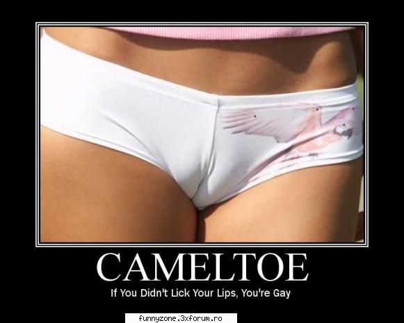 cameltoe