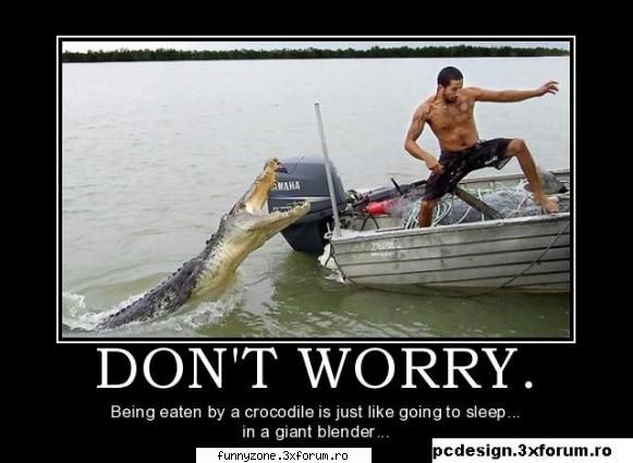 DON'T WORRy - F.G.-A. - Funny Animal Pictures