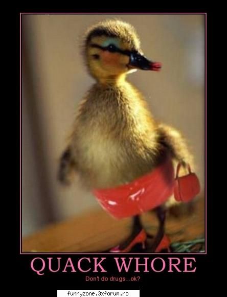 duck drift
