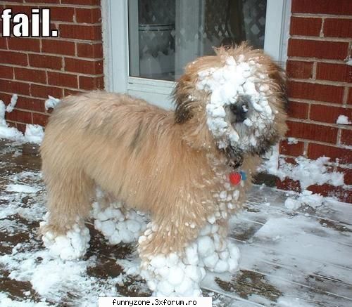 fail