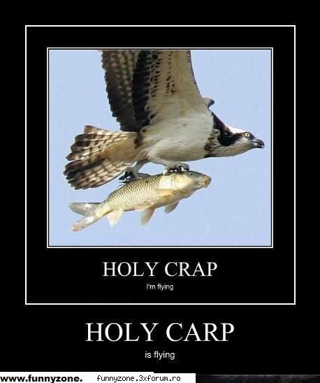 holy crap