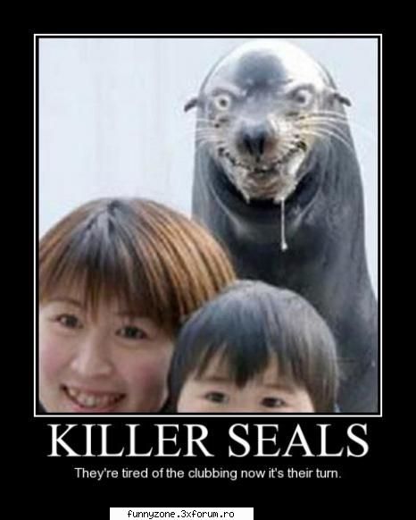 killer seals
