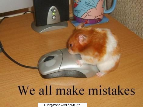 mouse