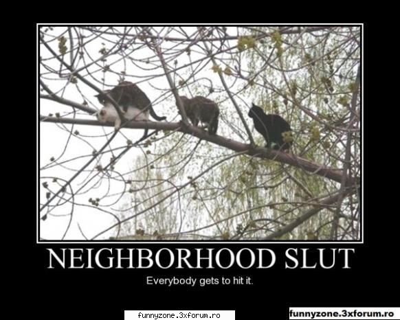 Stai la rand..... - lolo - Funny Animal Pictures