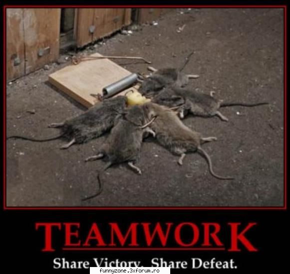 team work