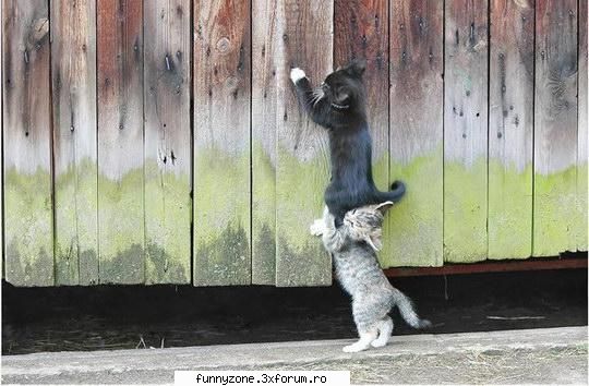 team work