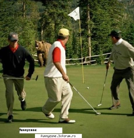 ursul la golf.....