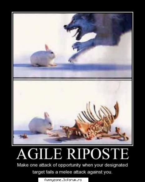 agile riposte