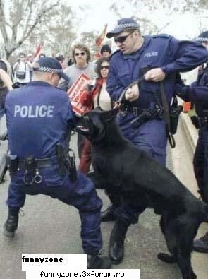 bad_dog_day