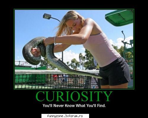 curiosity