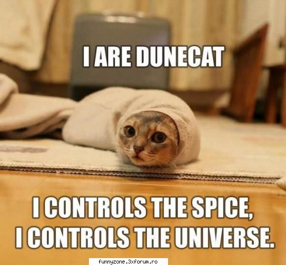 dune cat controls