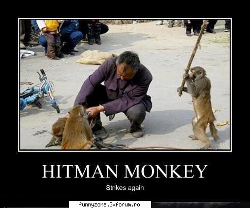 hitman-monkey
