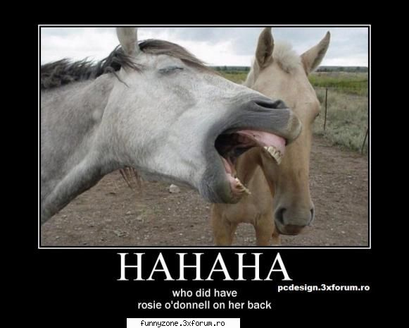 horse