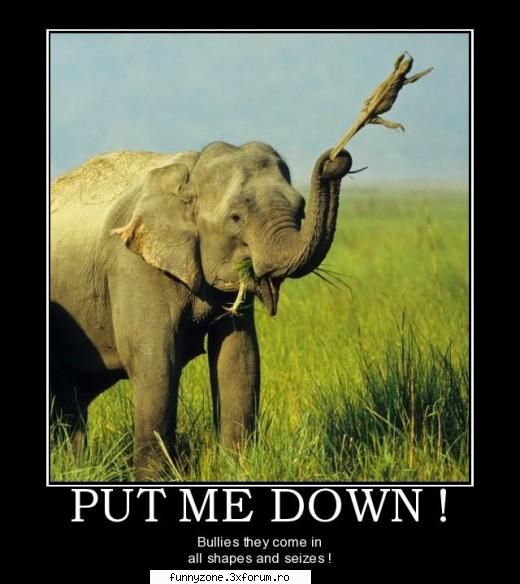 put me down